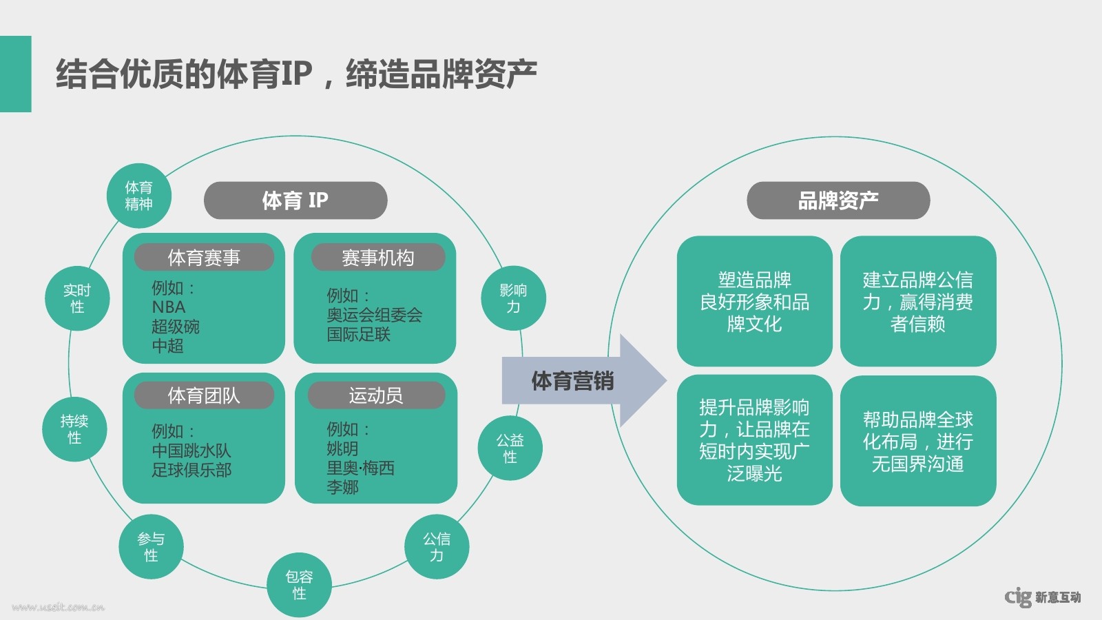 结合优质的体育ip,缔造品牌资产